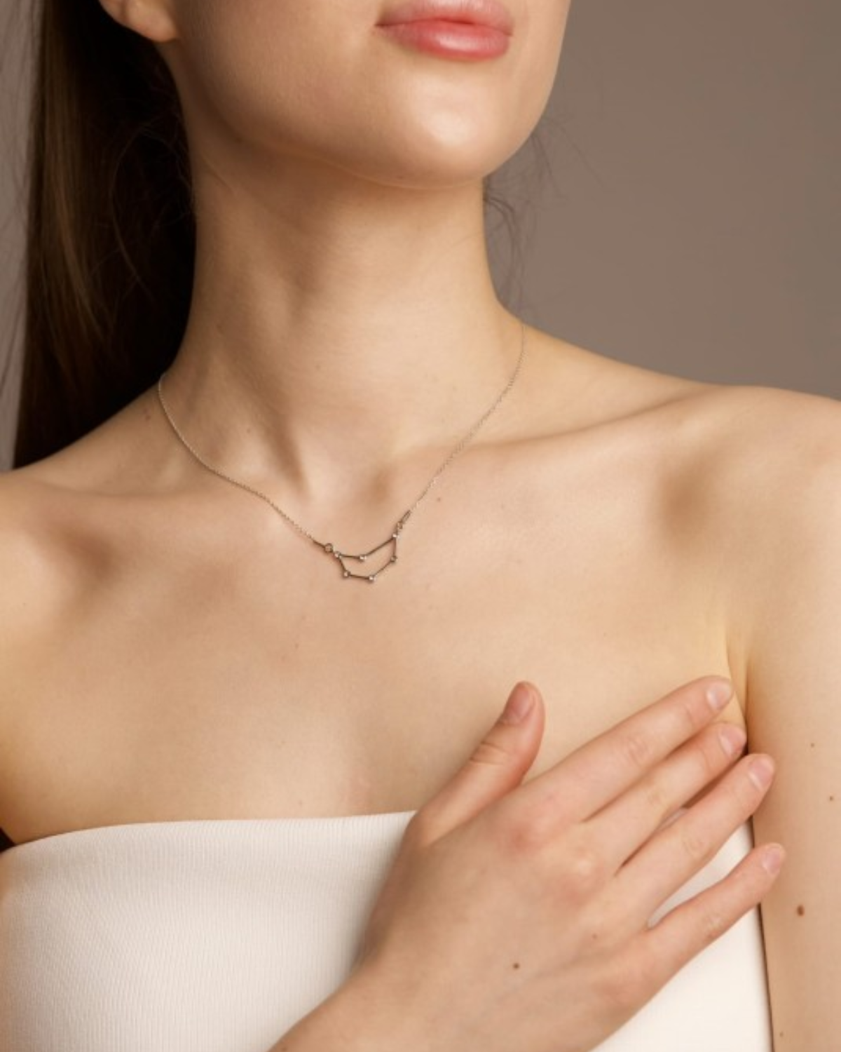 Capricorn Constellation