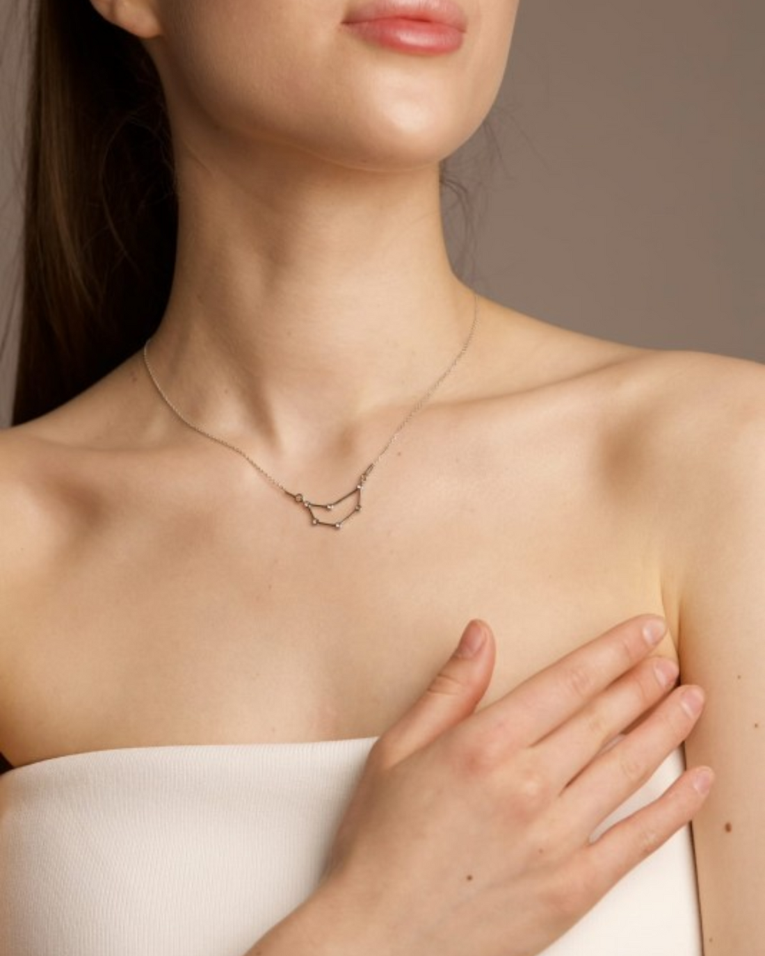 Capricorn Constellation